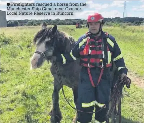  ??  ?? Firefighte­rs rescued a horse from the Manchester Ship Canal near Oxmoor Local Nature Reserve in Runcorn