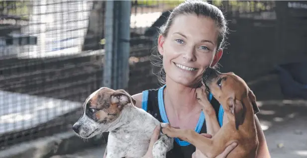  ?? Picture: ANNA ROGERS ?? ADORABLE COMPANIONS: Young Animal Protection Society kennel assistant Tina Byrne with puppies Wiley and Tweetie at YAPS.