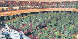  ?? AFP ?? ■
The UceLi Quartet perform for an audience made of plants during a concert that will be later streamed to mark the reopening of the Liceu Grand Theatre in Barcelona, Spain.