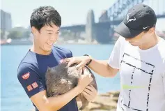  ??  ?? Tennis players Rafael Nadal of Spain (left) and Kei Nishikori of Japan handle a 10-month old wombat called Lola in front of the Sydney Harbour Bridge, in Sydney. — AFP photo