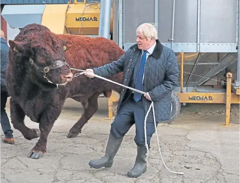  ?? ?? BULL FIGHT: Boris Johnson survived a visit to Darnford Farm in Banchory, Aberdeensh­ire, where he met opposition.