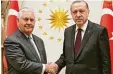  ?? Foto: Kayhan Ozer, dpa ?? Rex Tillerson mit Recep Tayyip Erdogan in Ankara