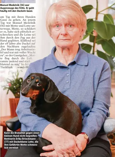  ??  ?? Kann die Brutalität gegen einen kleinen Hund nicht begreifen: Rentnerin Erika Brinckmann (77) mit Dackeldame Lotte, die ihre Gefährtin Motte schmerzlic­h vermisst