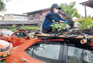  ?? JACK TAYLOR AFP VIA GETTY IMAGES ?? An employee at a taxi rental garage in Bangkok plants vegetables on the roof of a vehicle currently out of service due to a downturn in business caused by the pandemic.
