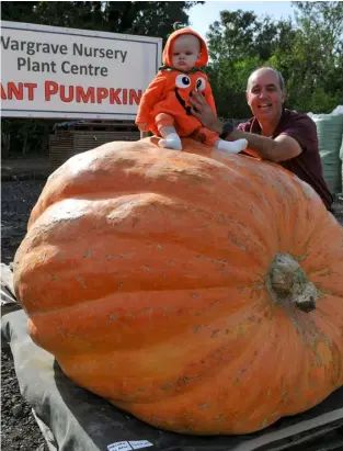  ?? ?? The Giant Pumpkin Weigh-off at Wargrave Nursery
Plant Centre on Saturday saw Curtis Leach (Centre Owner) with grandaught­er, Holly (8 months) measure their giant fruit