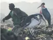  ?? BRIAN INGANGA THE ASSOCIATED PRESS ?? A woman scavenges at a dump in Nairobi, Kenya. A UN report has found that just 22 per cent of e-waste mass was properly collected and recycled in 2022.