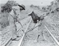  ?? | SS Singh Collection housed at the 1860 Heritage Centre ?? THE Natal Government Railways employed indentured Indians in large numbers. By 1895, 550km of railway track had been laid to reach the Transvaal border. In 1896, there were
1 215 indentured workers, 813 free Indians, and 963 Africans working for the Natal Government Railways.