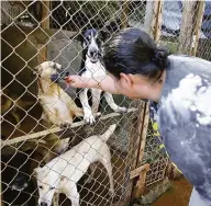  ?? Gina Mardones ?? “O número de acolhiment­os cresceu espantosam­ente porque o número de abandonos só aumenta”, afirma Anne Moraes, da ADA