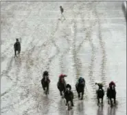  ?? CHARLIE RIEDEL — THE ASSOCIATED PRESS FILE ?? In this file photo, jockey Ramon Dominguez watches as the horse he had been riding, Chelokee, runs away after he fell off during the eighth race at Churchill Downs in Louisville, Ky. Head injuries from a fall ended Domonguez’s career in 2013.