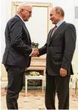  ?? Foto: Bernd von Jutrczenka, dpa ?? Begegnung im Kreml: Wladimir Putin begrüßt Frank Walter Steinmeier zum Gespräch.