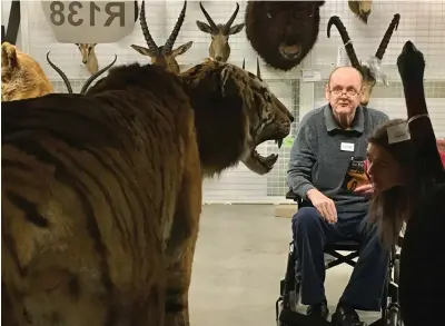  ??  ?? Peter, above, from Parkhouse Manor Care Home gets to meets Sam the tiger, while below right, research manager Richard Sutcliffe with a preserved sphenodon punctatus reptile