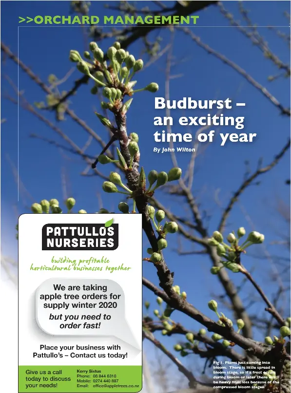 What steps should ms owades and her colleagues take next to fully develop the c&c concept image