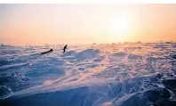  ?? FOTO: ERLING KAGGE/DPA-TMN ?? Erling Kagge sucht das extreme Abenteuer – wie hier im Eis der Antarktis, alleine nur mit einem Schlitten.