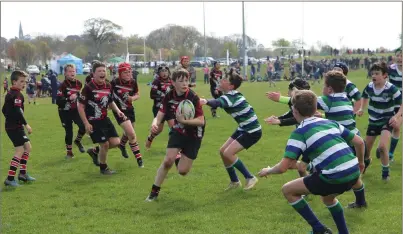  ??  ?? Wicklow in action in Seapoint RFC’s Minis Rugby Festival.