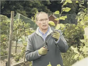  ??  ?? Beechgrove Garden presenter George Anderson is an allotment plotholder