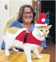  ?? PHOTO: LOIS DAVIS ?? Santa Claws . . . Walter, the cat, dresses for Christmas with Vicky McCallum, of Dipton.