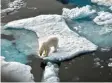  ?? Foto: dpa ?? Ein Eisbär steht im Nordpolarm­eer auf einer Eisscholle. Dort schmilzt das Eis, anderswo wird es mehr Dürren geben, erwarten die Fachleute vom Weltklima‰ rat.