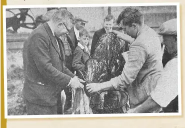  ??  ?? Below: a demonstrat­ion of eel catching with the Dutch eel net in the Lincolnshi­re fens
(Taken from The Field, 5 December 1942)