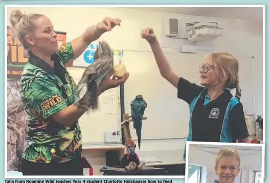  ??  ?? Talia from Roaming Wild teaches Year 4 student Charlotte Holzhauser how to feed the tawny frogmouth; and right, Ashton Mauldon holds Slushy the blue-tongue lizard. Pictures: Elaine Byrne