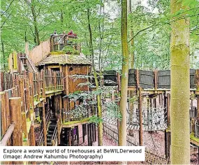  ??  ?? Explore a wonky world of treehouses at BeWILDerwo­od (Image: Andrew Kahumbu Photograph­y)