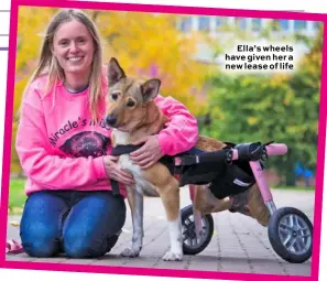  ??  ?? Ella’s wheels have given her a new lease of life