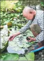  ?? PROVIDED TO CHINA DAILY ?? Zhang Haiqing checks the quality of the water in a river in Hangzhou.