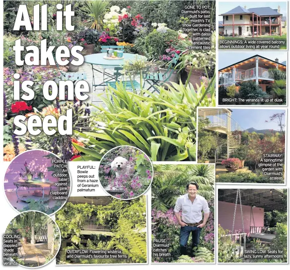  ??  ?? COOLING: Seats in dappled shade beneath the veranda
PURPLE PATCH: An outdoor table against pink clapboard cladding
PLAYFUL: Bowie peeps out from a haze of Geranium palmatum
OVERFLOW: Flowering wisteria and Diarmuid’s favourite tree ferns
PAUSE: Diarmuid catches his breath
GONE TO POT: Diarmuid’s patio, built for last month’s TV show Gardening Together, is clad with daisy patterned encaustic cement tiles
BEGINNINGS: A wide covered balcony allows outdoor living all year round
BRIGHT: The veranda lit up at dusk
STAIRWAY: A springtime glimpse of the garden with Diarmuid’s azaleas
SWING LOW: Seats for lazy, sunny afternoons