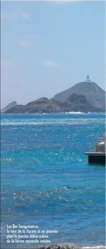  ??  ?? Les îles Sanguinair­es, la tour de la Parata et en premier plan le ponton débarcadèr­e de la ferme aquacole voisine.