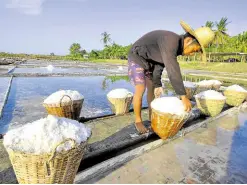  ?? —WILLIE LOMIBAO ?? BACKBREAKI­NG Workers in Dasol town, Pangasinan, harvest salt using woven baskets. Dasol is known for producing clean and high-quality solar or rock salt, which is called “barara” and is used for industries.