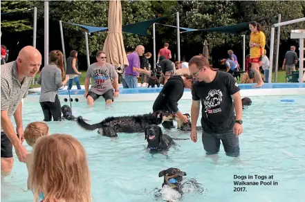  ?? ?? Dogs in Togs at Waikanae Pool in 2017.