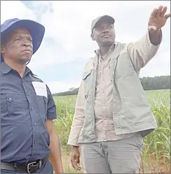  ?? (Courtesy pic) ?? EWADE CEO Sam Sithole (L) and Sibonginkh­osi Johnson, a young farmer who has planted 32 hectares of maize at Sicunusa.