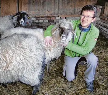  ??  ?? Ein Leben zwischen Alpakas und Alpinen Steinschaf­en: Jürgen Leiner und seine Familie haben sich auf dem Weldener Hof einen besonderen Lebenstrau­m ermöglicht.