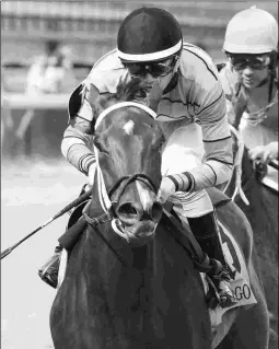  ?? BARBARA D. LIVINGSTON ?? Finley’sluckychar­m, who runs next week at Saratoga, is the star of Carl Moore’s stable. nd