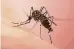  ??  ?? 900s Dengue Deaths: Unknown Animal: Mosquito
Pathogen: Dengue virus A Chinese text described the disease in 992, calling it a “water poison” linked to winged insects. Crowded tropical ports would spread the disease globally.