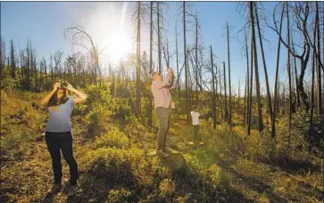  ?? Marcus Yam Los Angeles Times ?? LEIGH MADEIRA, left, and Zach Knight, founders of Blue Forest Conservati­on, tour an area scorched by the 2013 Rim Fire. The start-up created bonds to pay for forest clearing in the Tahoe National Forest.