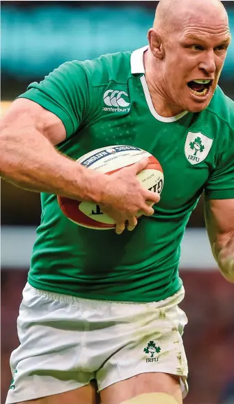  ??  ?? Irish Rugby legend Paul O’Connell set up his firm Nellcon Ltd in 2005