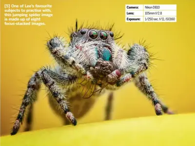  ?? ?? [5] One of Lee’s favourite subjects to practise with, this jumping spider image is made up of eight focus-stacked images. www.digitalcam­eraworld.com