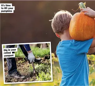  ?? ?? It’s time to lift your pumpkins
Dig in your rotted compost