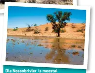  ??  ?? Die Nossobrivi­er is meestal droog (HEEL BO), maar swaar reën kan wel hier uitsak, en die landskap verander daarna heeltemal (BO).