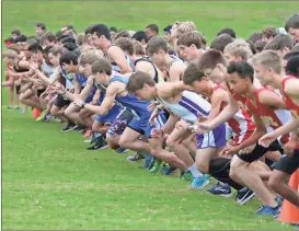  ?? Jeremy Stewart / Rome News-Tribune ?? Runners take off from the start of the boys’ varsity race of the Rome All Area Championsh­ips on Saturday at Georgia Highlands College. Rome’s boys and girls swept the meet.