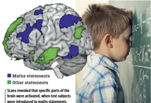  ??  ?? Scans revealed that specific parts of the brain were activated, when test subjects were introduced to maths statements. Maths statements Other statements