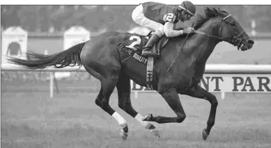  ?? BARBARA D. LIVINGSTON ?? Elusive Quality, at age 5, sets a world record for a mile on turf in the Poker at Belmont.