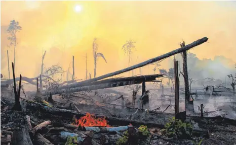 ?? FOTO: EDMAR BARROS/DPA ?? Lábrea, die südlichste Gemeinde im brasiliani­schen Bundesstaa­t Amazonas: Auch hier hatten Brände gewütet.