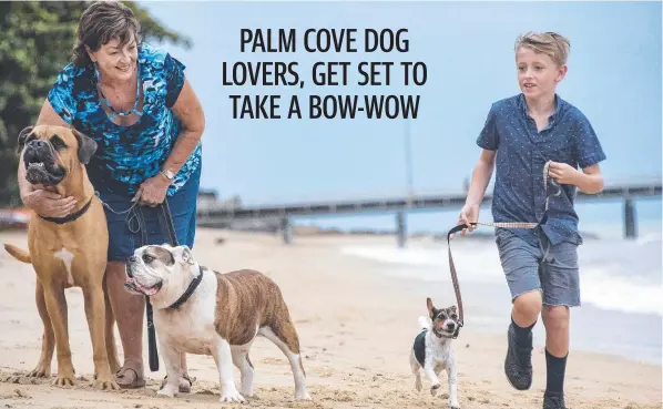  ?? Picture: Brian Cassey ?? Rhonda Henderson with Murphy and Lenny on Palm Cove Beach, while 8-year-old Koby Henderson runs with Dotty.