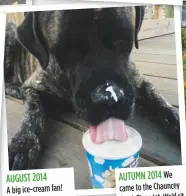  ??  ?? august 2014 a big ice-cream fan!