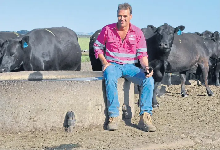  ??  ?? EXPERTISE: Beef specialist Tom Gubbins is a director of Te Mania Angus, which provides proven genetics to build high quality and profitable breeding herds across Australia.