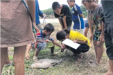  ??  ?? Local kids learn about ecology in their own backyard.