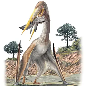  ??  ?? EVOLUTION: Pterosaurs’ ability to fly while carrying prey seemed to defy physics.