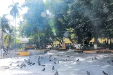  ?? FOTOS: ALEJANDRO AMADOR ?? El Parque La Libertad es un emblemátic­o lugar de Comayagüel­a.