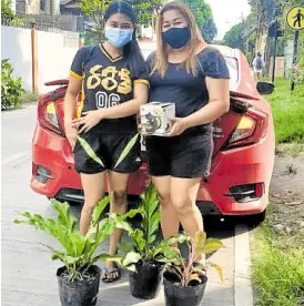  ?? —PHOTO FROM IBC FACEBOOK PAGE ?? PLANTS AND TEAPOT Household plants are welcomed by its new owner who offered a teapot set through the Iloilo Barter Community.